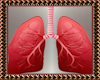 Animated  Lungs