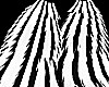 ~Y~Black/White Monster