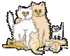 Happy Cat Family Sticker
