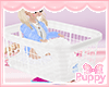[Pup]  Laundry Hamper