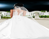 WEDDING WHITE VEIL