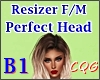 PERFECT Head 👧 B1