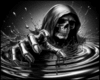 Poster Skull Reborn