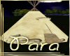 P9]Native American TIPI