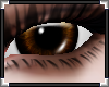 [LyL]Gingembre Eyes