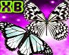 XB-black&white butterfly