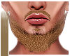  . Beard 03 | SB
