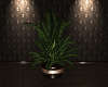 URBANE POTTED PLANT