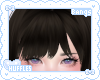 🌸 Bangs Black [1]