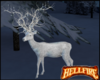 Winter Magic Deer