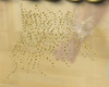 GOLDEN ADDON BODY