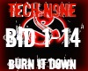 TechN8ne Burn It Down