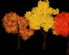 Autumn Foliage Trees