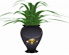 Vase Plant A3