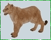 Lionesse Animated