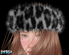 𝚂✗𝚉 Fur