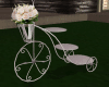 GP*Bicicle stand wedding