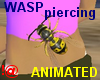 !@ Wasp piercing animate