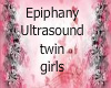 Twins ultrasound girls