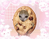 ♡ lil cookie