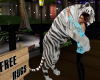 (mc)wHT tIGER fREE hUG