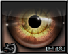 [PnX] Owl Eyes (M)