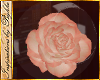 I~Iris Rose Globe