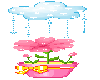 rain flower pot
