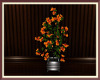 Carmel Floral Plant 