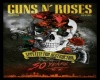 Guns N'Rose