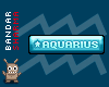 (BS) AQUARIUS sticker
