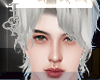 !Jig H Lamoon Silver