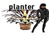 palm planter