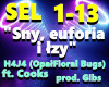 Sen, euforia i lzy