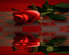 animated rose backdrop