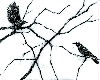 Sketches 2 - Sq