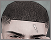 s. Fade H Vicctor