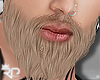 ►Wolfin Beard blond