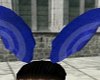 blue bunny ears