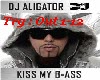 DJ aligator Outro