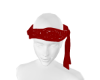 C.J.R.Bandana09
