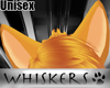 Whiskers~ Fidget Ears