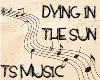 TS-Dying In The Sun
