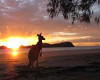 30 Aussie SunsetSunrises