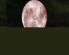 Animated Full Moon