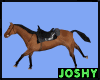 animated riding horse-BW