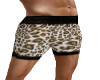 sexy leopard boxers