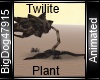 [BD] Twilite Plant