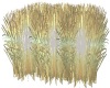 Aquarium Grass 2 