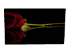 Red Rose Wedding Wall